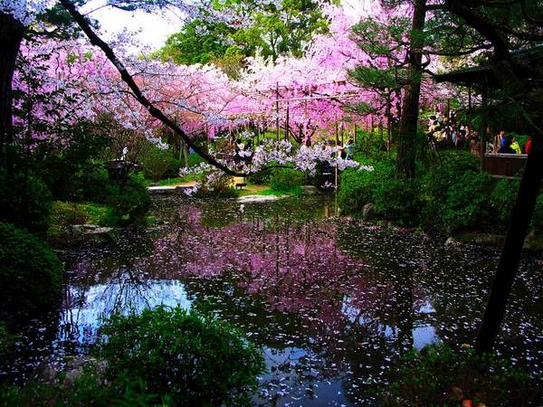 Как сделать японский сад своими руками - фото